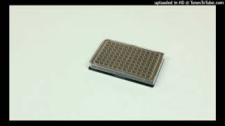 VID_20230816_150930_574
