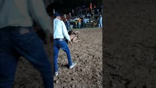 Subscribe In All Himachal Dangals