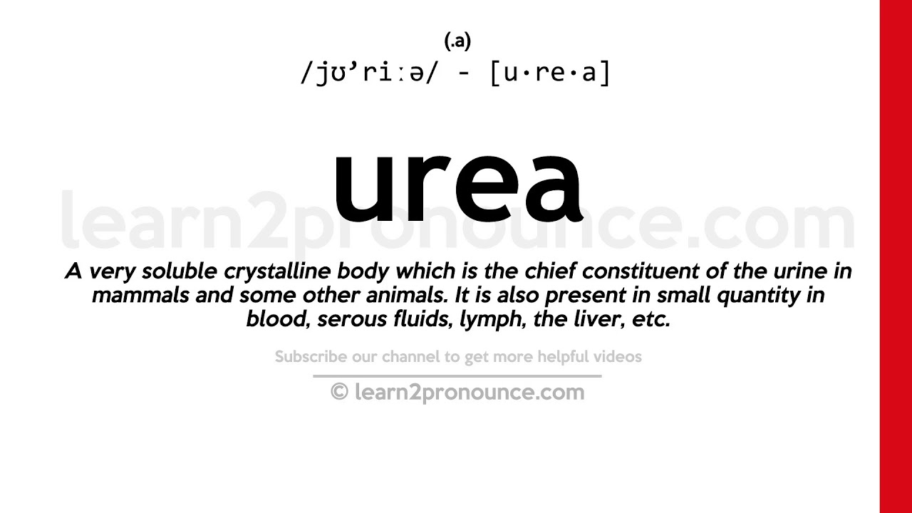 Pronunciation of Urea Definition of Urea YouTube