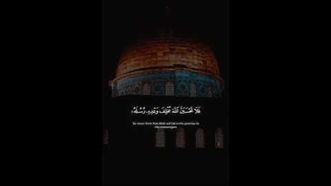اكتب شيء تؤجر عليه 😴💚 / القارئ عبد الرحمن مسعد | قران كريم