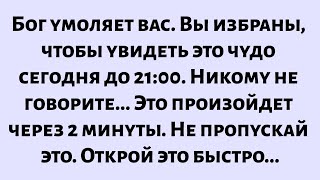 :   ,  ,    .   ...   ...
