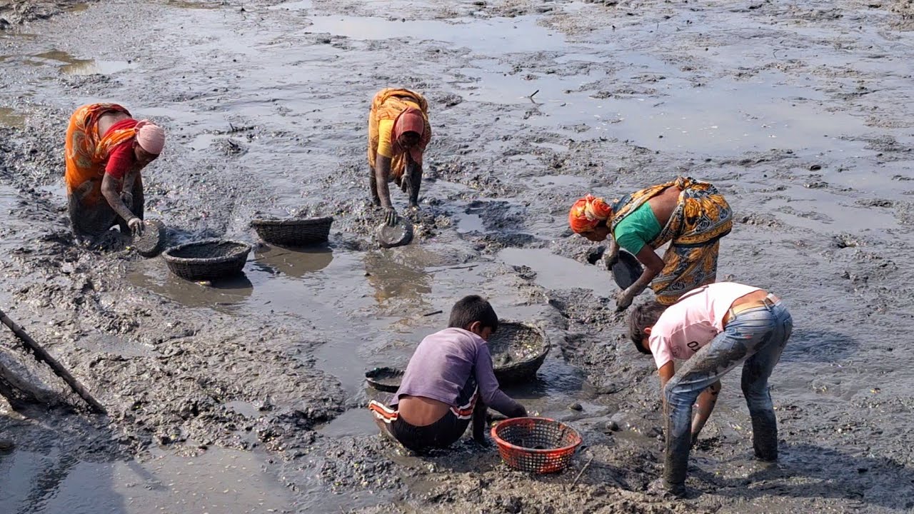 Amazing village women catching huge deshi catfish by hand | women fishing video