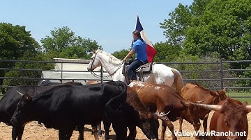 Dee Major - carrying the flag and working cows! - ValleyViewRanch.net