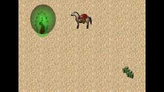 Temple of  the Dread 12: Orbis Non Sufficit