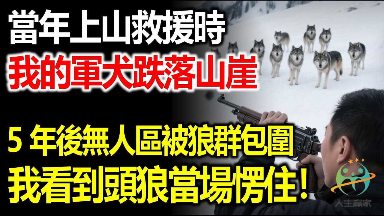 當年上山救援時，我的軍犬不幸跌落山崖，5年後無人區被狼群包圍，我看到頭狼愣住，下一幕我做夢沒想到！