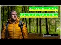 Woodland Photography | Lyminge Forest