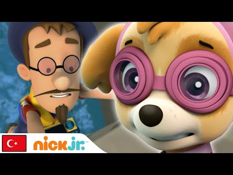 Pati Devriyesi | Eğitim Görevleri - 3. Bölüm | Nick Jr.