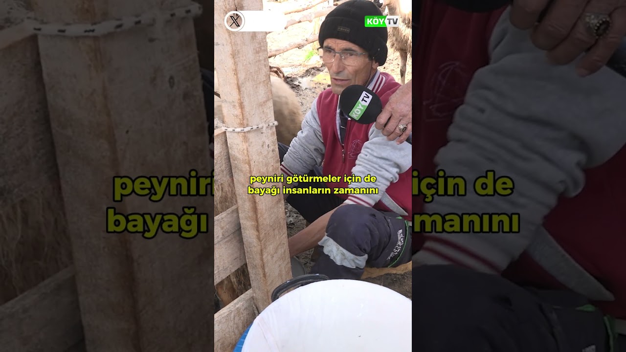 Zor Ama Karlı İş #köy #hayvancılık #çoban