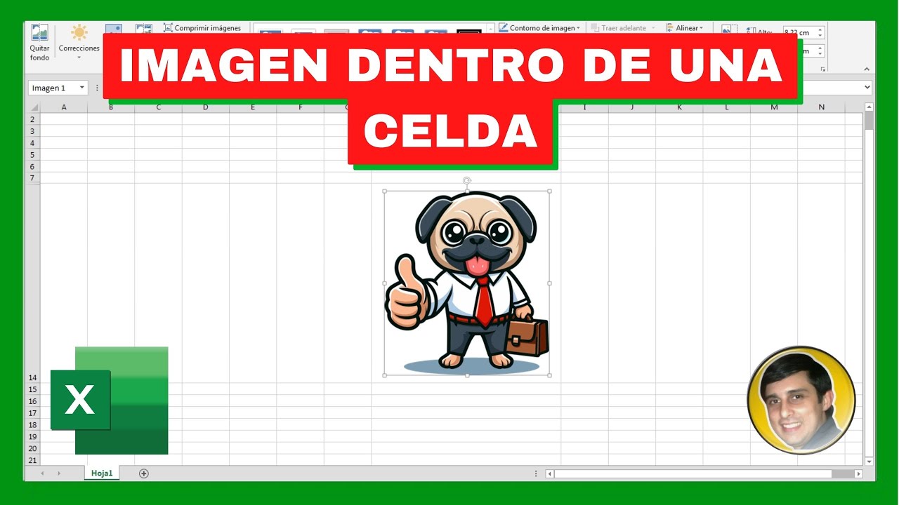 Cómo INSERTAR una IMAGEN en una CELDA en EXCEL - YouTube