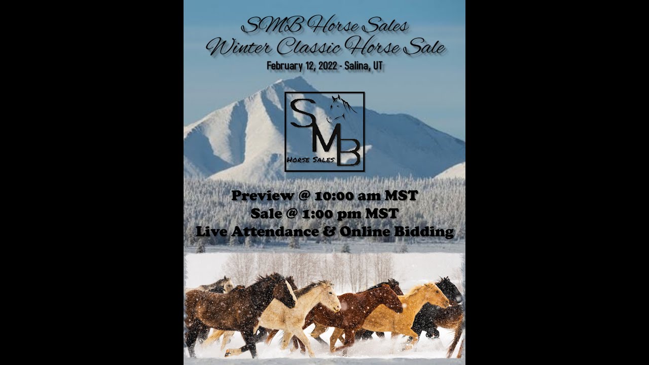 SMB 2022 Winter Classic Horse Sale YouTube