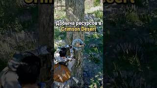 Добыча Ресурсов в Crimson Desert