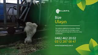 NURPA Besicilik  Nurpa Enerji A.Ş. Nuri Parlak