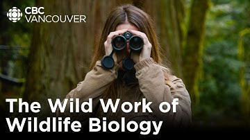 Finding a needle in a haystack: a search for rare snakes | The Wild Work of Conservationists