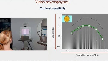 MonPackONE -6- Vision psychophysics - Contrast and glare test