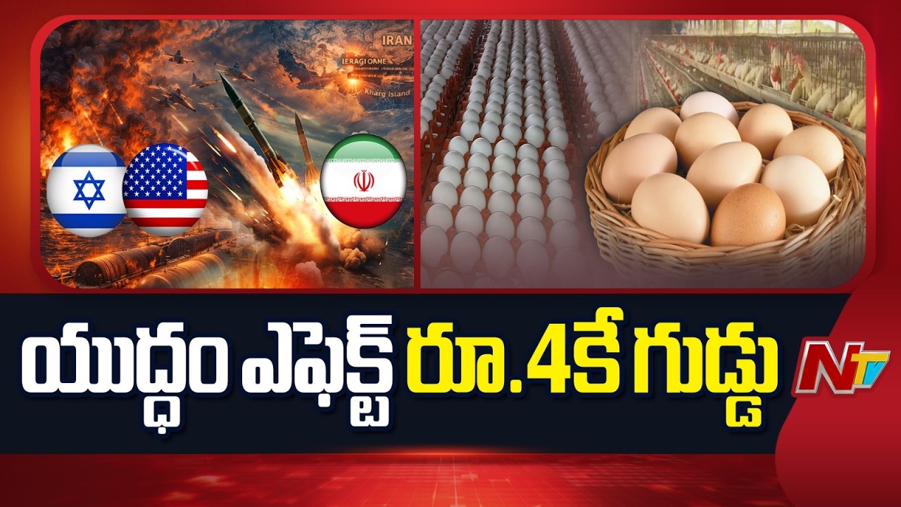Middle East War Effect Egg Prices All In Telugu States | Special Report From Godavari district | NTV