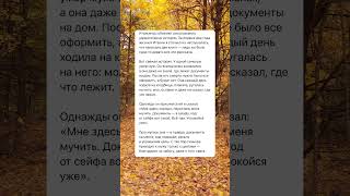 Итальянцы #жизнь #личность #психология #семья #анекдоты #история #людипро #отношения #люди #этожизнь
