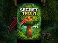 This Tree is Hiding a Secret… 🤯| Minecraft