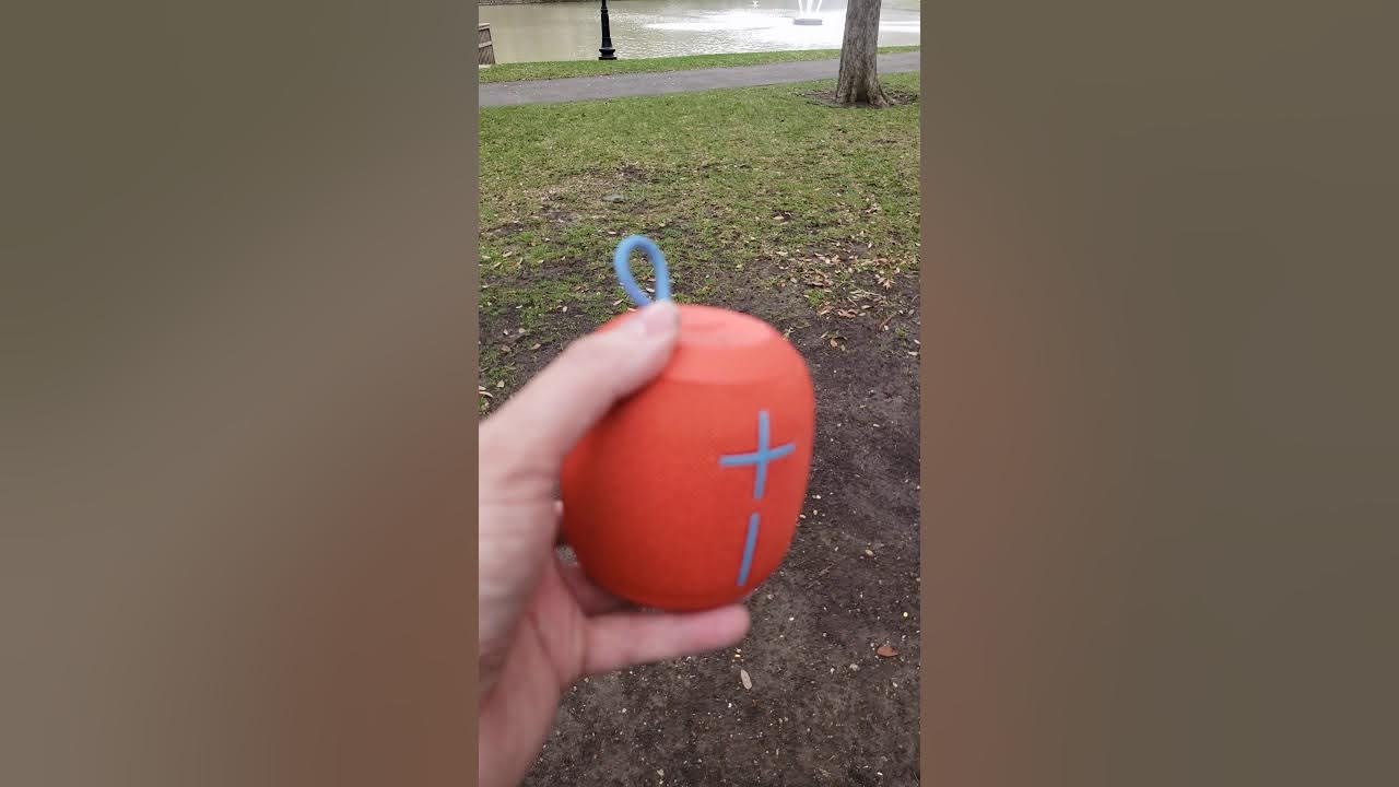 Ultimate ears wonderboom bluetooth speaker reset to factory settings