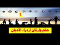 ازدراء الاديان وحرية نقد الدين تهمة إهانة الرموز الدينية حلقة 1 