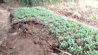 Agriculture Land for Sale in Narok Fronting a River, 1.5km to Tarmac, 5.5km to Narok Town @Kes 1.15m