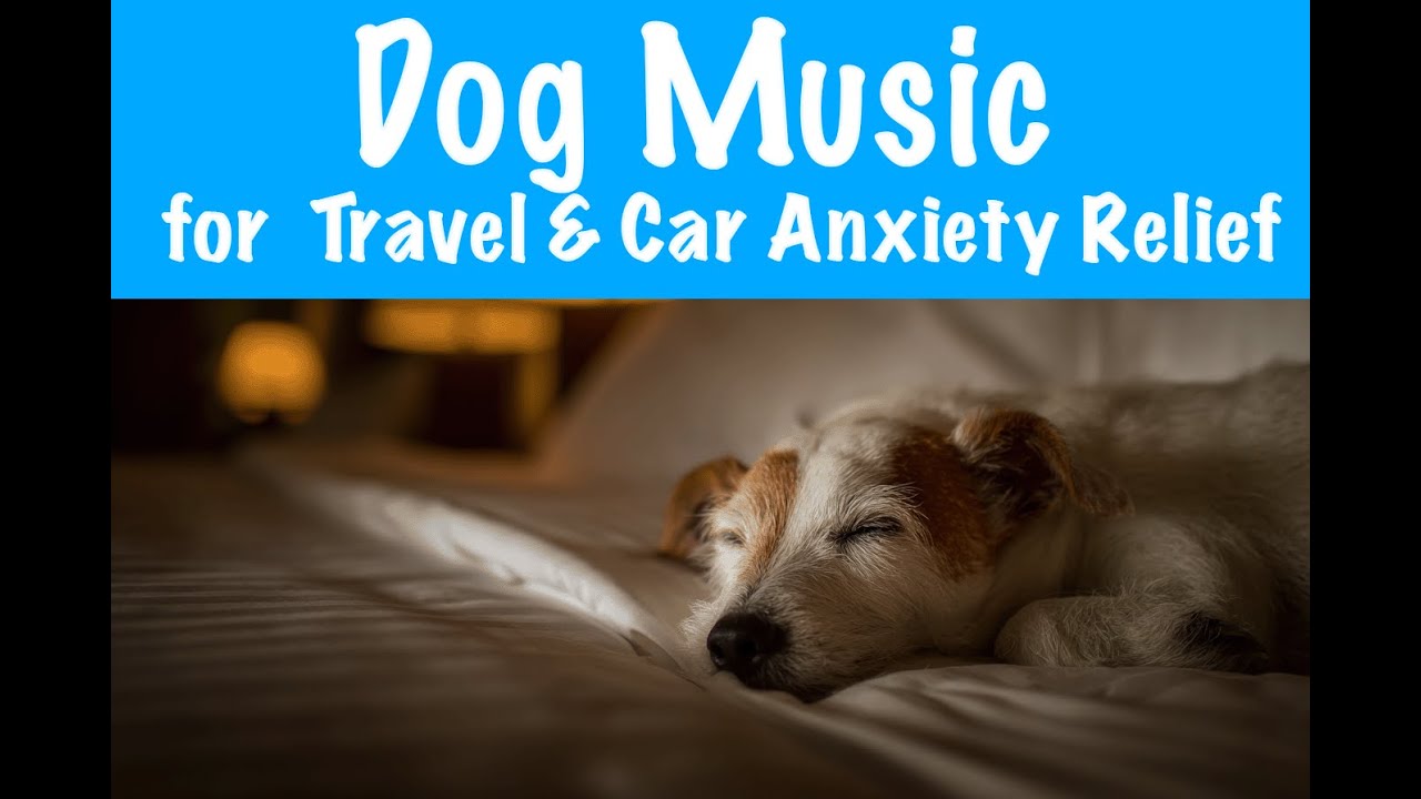 Dog Travel & Car Anxiety Relief Music for Happy Pups