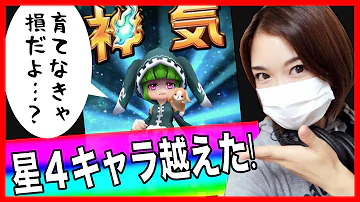 تحميل 白猫 パン 神気解放 Mp4 Mp3
