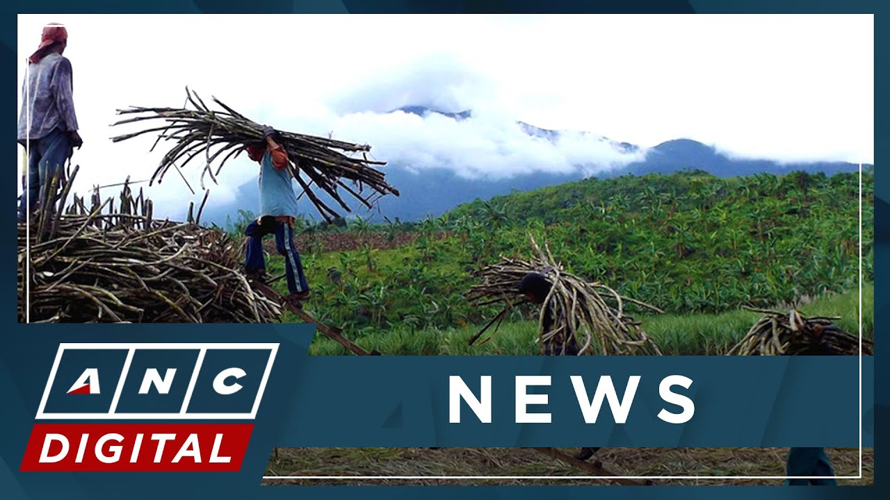 No funds for sugarcane farmers' fertilizer subsidy in 2023 budget | ANC