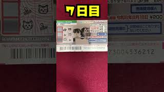７日目