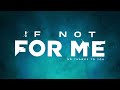 If not for me  no thanks to you official visualizer
