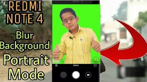 Portrait mode blur effect camera feature on redmi note 4like Mi A1 camera click by R Baliyan