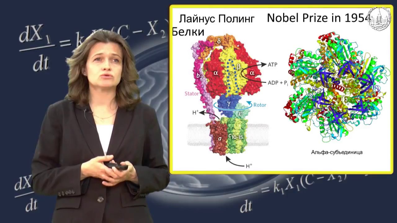 Попцова М.С. Расшифровка генетического кода часть 1