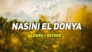 Nasini El Donya slowed + reverb