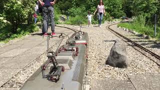 IMG 4604
