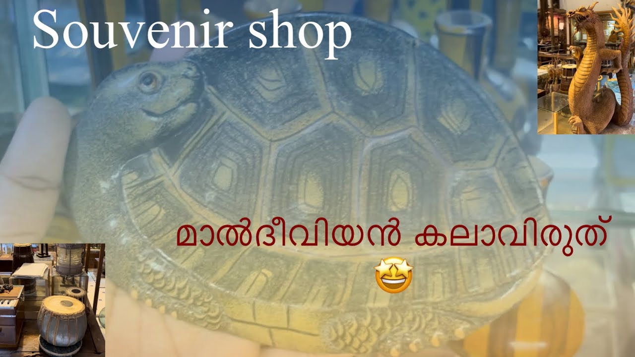 തനി മാൽദീവിയൻ ഐറ്റംസ് Souvenir shop Malayalam DJ world YouTube