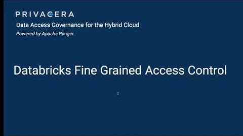 Extending Apache Ranger to Databricks with Privacera