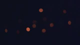 FIREFLIES | Immersive Art installation by Studio EMPATIA