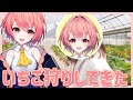 ヒナルカでいちご狩り行ってきました!!【#新人vtuber】【#柊鳴ヒナ】