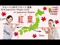 秋の名曲「紅葉」(ゲイリー・ショッカー編曲)をリモートで演奏してみた! 〜Red Japanese Maple Leaf or Japanese Maples   arr.Gary Schocker〜