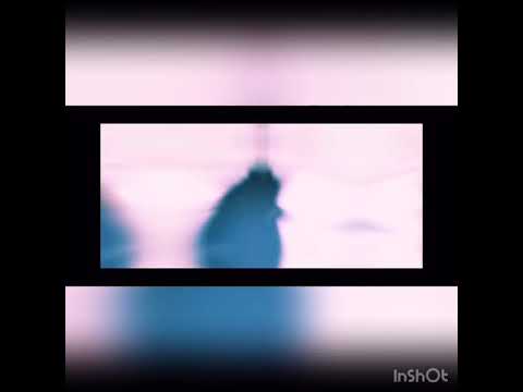 MAD『ワンピース✖︎ヒバナ』