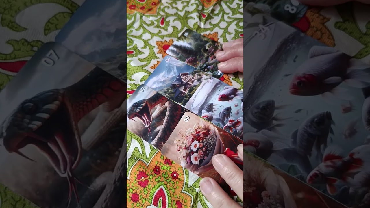 Cigana rosa vermelha, fala que chegou  o momento da superação 