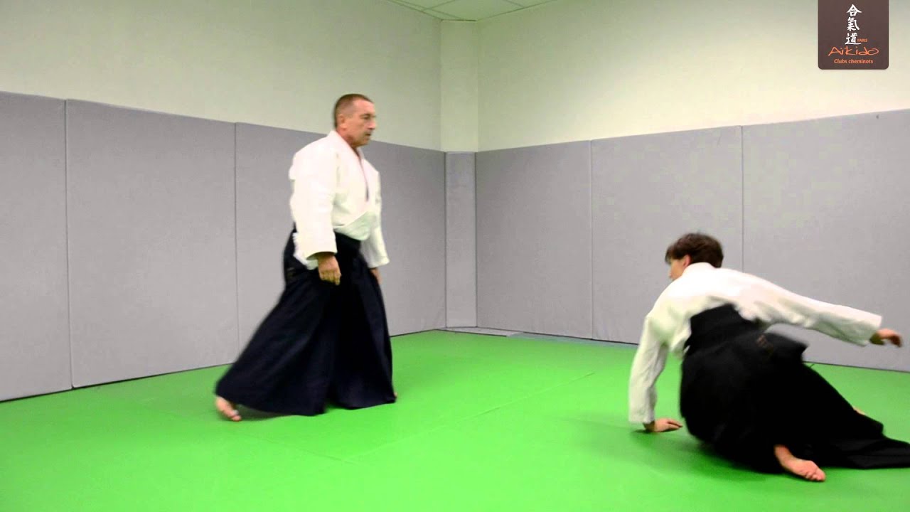 Technique Aïkido Tachi waza Katate dori Sokumen irimi nage YouTube