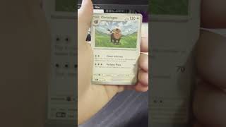 Obsidian Flames Day 11 #pokemon #tcg #tcgpokemon #fyp #packopening #cardcollection #pokemoncards