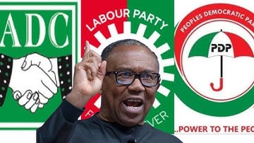 Labour Party to Peter Obi: Resign in 48 Hours 😲 | Party Crisis Deepens