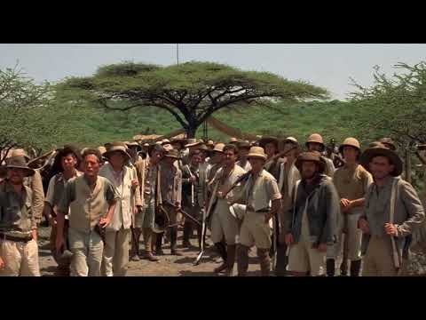 Out of Africa - Arrival