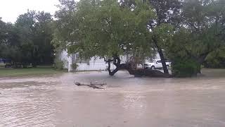 Thunder Storm Spring Branch , Tx