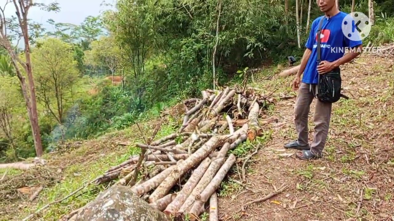  Tanah disini 10 meter bisa dituker 1 butir durian,,, invest bagus cepet balik modal ,, Banyumas 