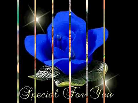 March 8 Yetochi Qan Siti Malti Hagarii Nati Seti Malti Enti Nati Seti Malti Eheti Nati Kibar Yegabta 