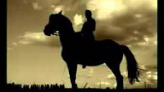 عنتر بن شداد/هل غادر الشعراء من متردم