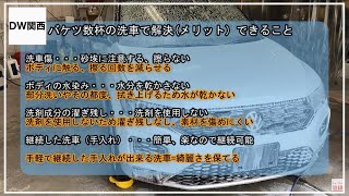 【ＷＡＸメンテナンスクリーナー】バケツ洗車＋ルッソグロスで落ちない汚れ（水垢、虫付き、ピッチタール等）の対処法について