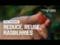 Reduce, Reuse, Raspberry | Full Episode | S1